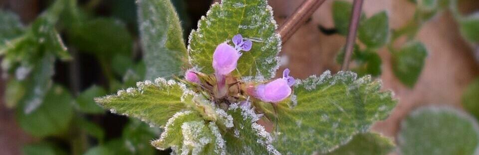  ��� ������� ��������� ������� ������ ������� ������ 