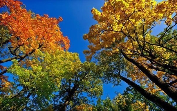  ����� ��������� ������� ������ ��� ������� 