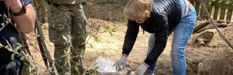  ���������� �������� ������ ������� ������� ��� ������� ���� 