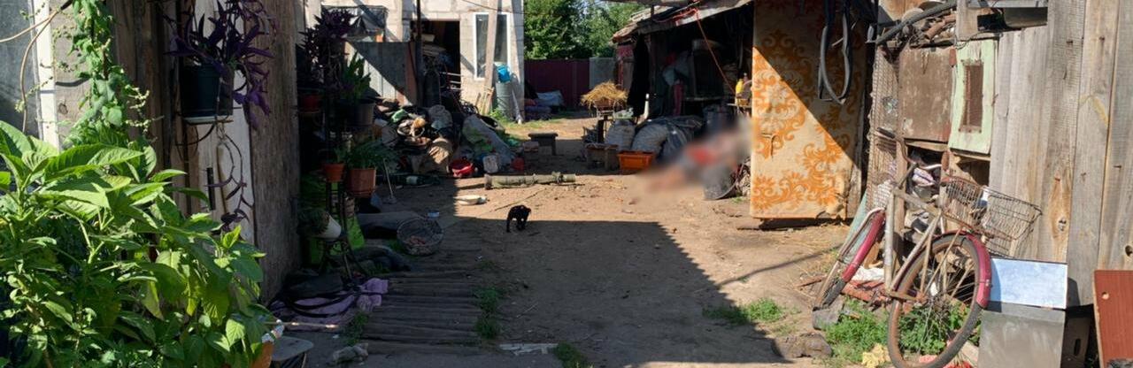  ������� �������� ������ ������� 16-����� ���� 