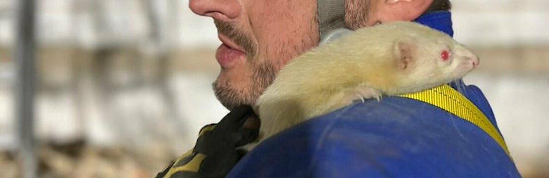  ��� �-�� ������ ������������ ������� ��������� ������� ������� 