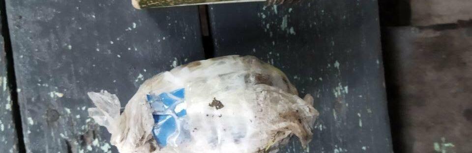  ������� ������ ������� ������� ����� ��������� ���� 