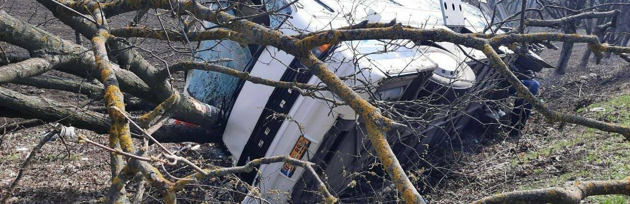  ������ ����������� ������� �������� ���� ����������� 