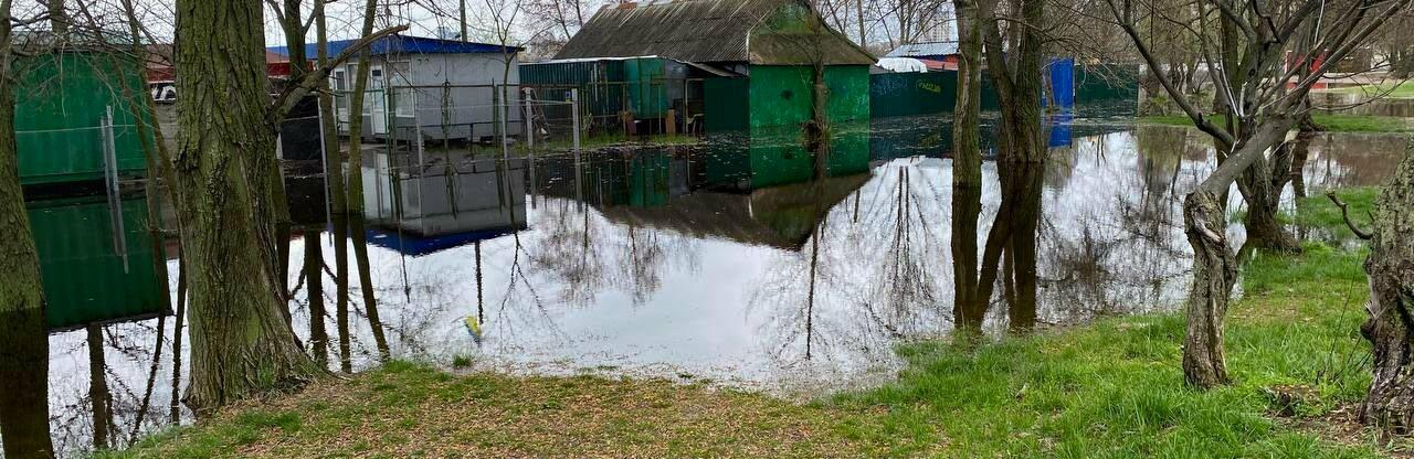  ��� ���� ������� ���������� �� ���� ������ ���� 