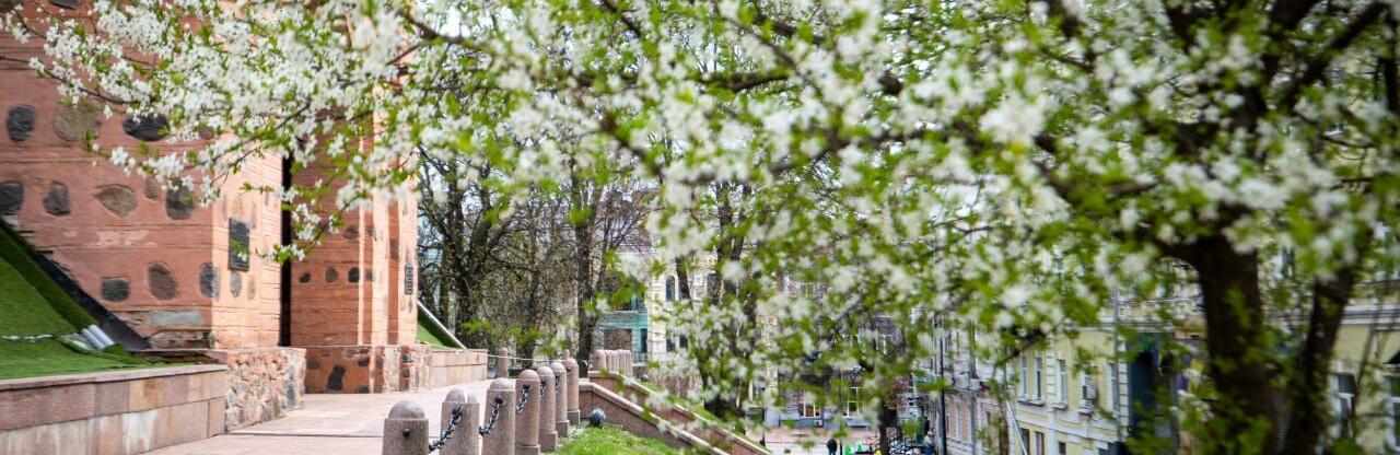  ����� ��������� ���� ���� ������ ��� ������ 