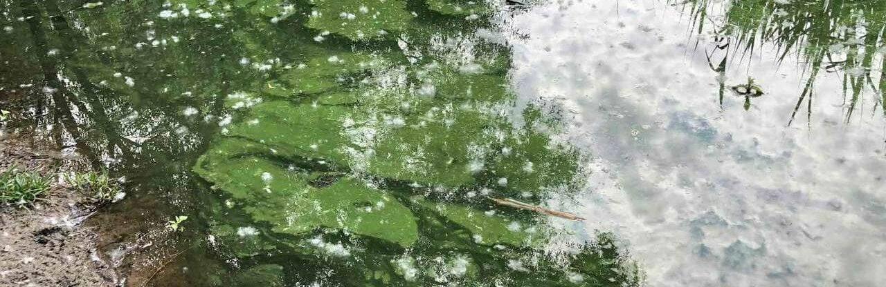  ����� ���� ������� ���������� ���� ���� ������� 