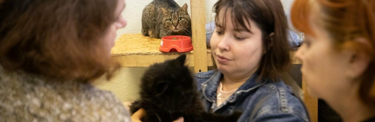  ���������� ����� ������ ���� ������� ���� �������� ������ 