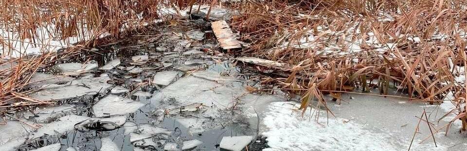  ������ ��������� ��������� ������� ���� �������� ���� ���� 