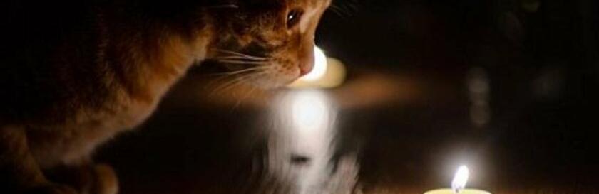  ��� ���������������� ����� ���������� ����� ���������� �������� ��������� 