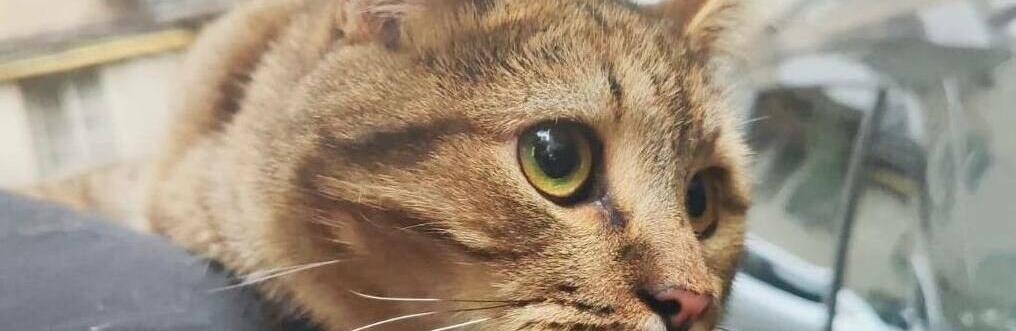  ������ �� ������� ��������� �� ����� ��� ��������� 