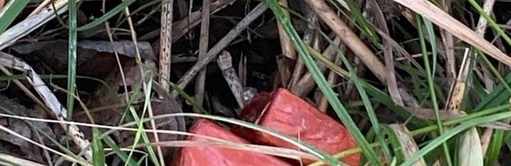  ���� ������ ���� ������� ���������������� �������� ���� 