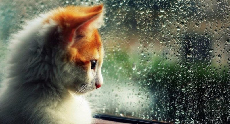  ��������� ������ ���� ������� ������� ������ ������� ������ 