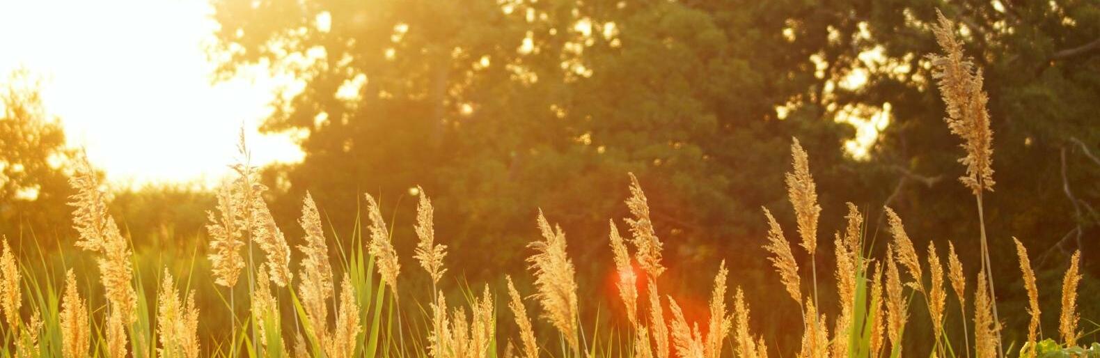  ������� ���� ���� ������ ��� ����� 