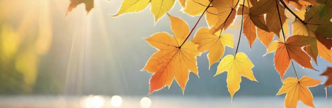  ��� ��������� ������� ������ ��� ������ ������ 