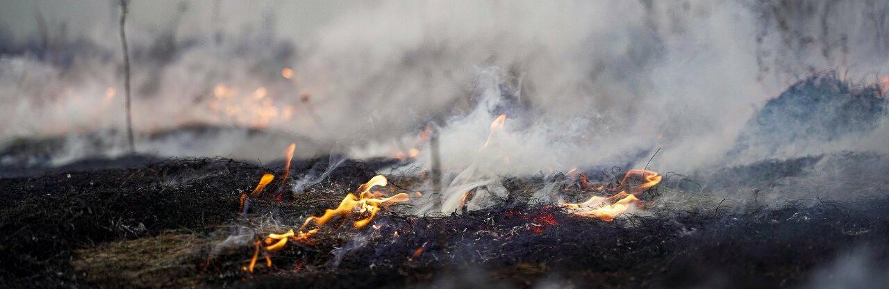  �������� ����� ������� ��� ���� ������ ������ ��������� 