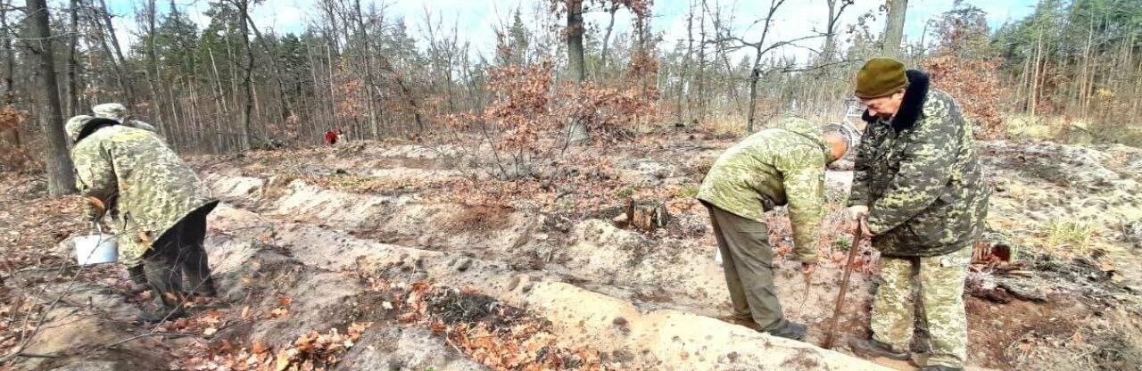  �������������� ������� �������� ����� ������ ����� ���� 