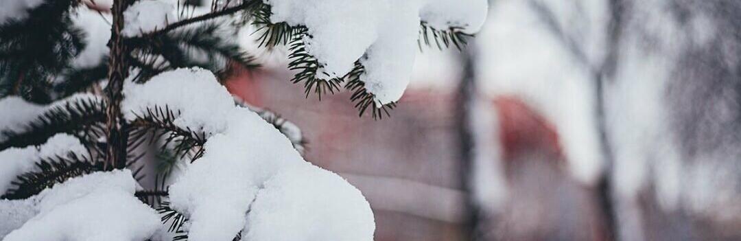  ��� ������ ��� ����� ������� ������ ������� ���� 