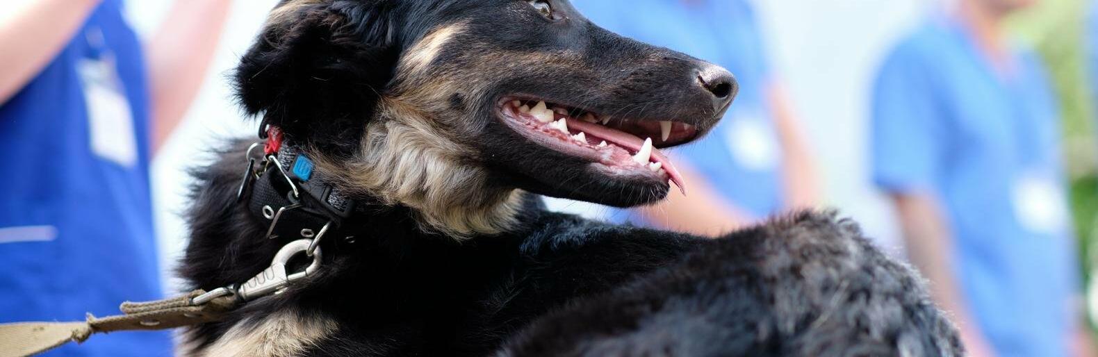  ������� ���������� ������������ ������� ������� ����� �������� �������� 