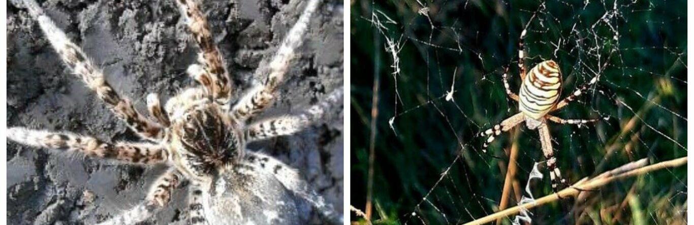  ������ ������� ������ �������� ������ ������ ��� 