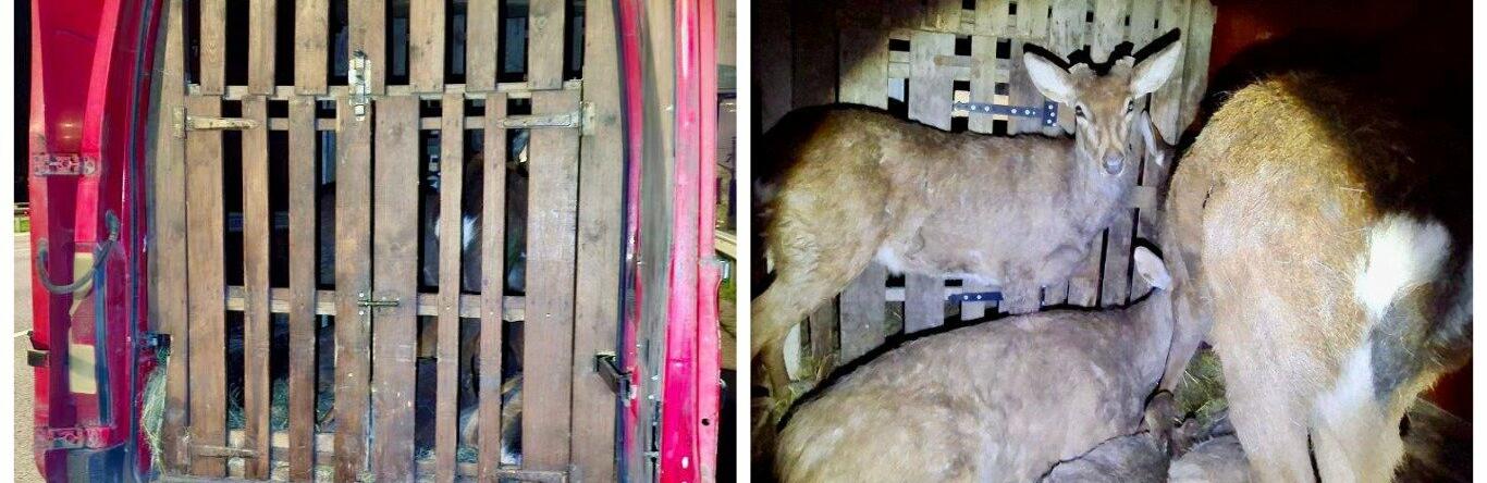  ������� ������� ��� �������� ����������� ����� ���������� ���������� 