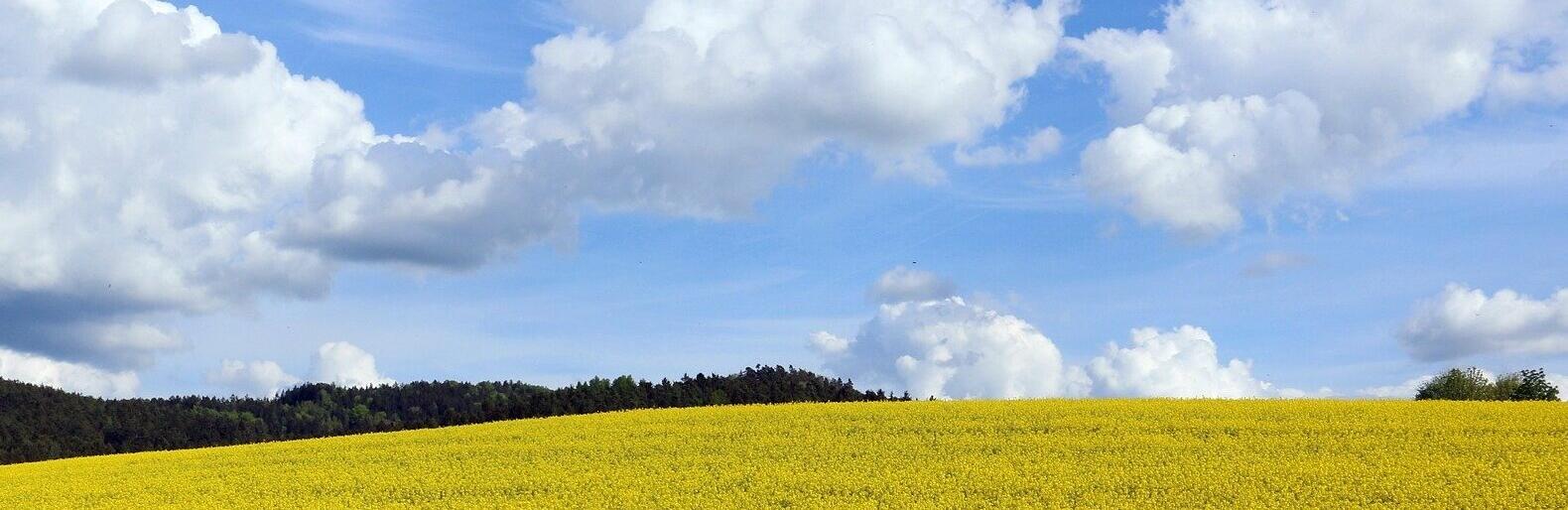  ���� ��������� ����� ���� ���� ������ ���������� ������ 