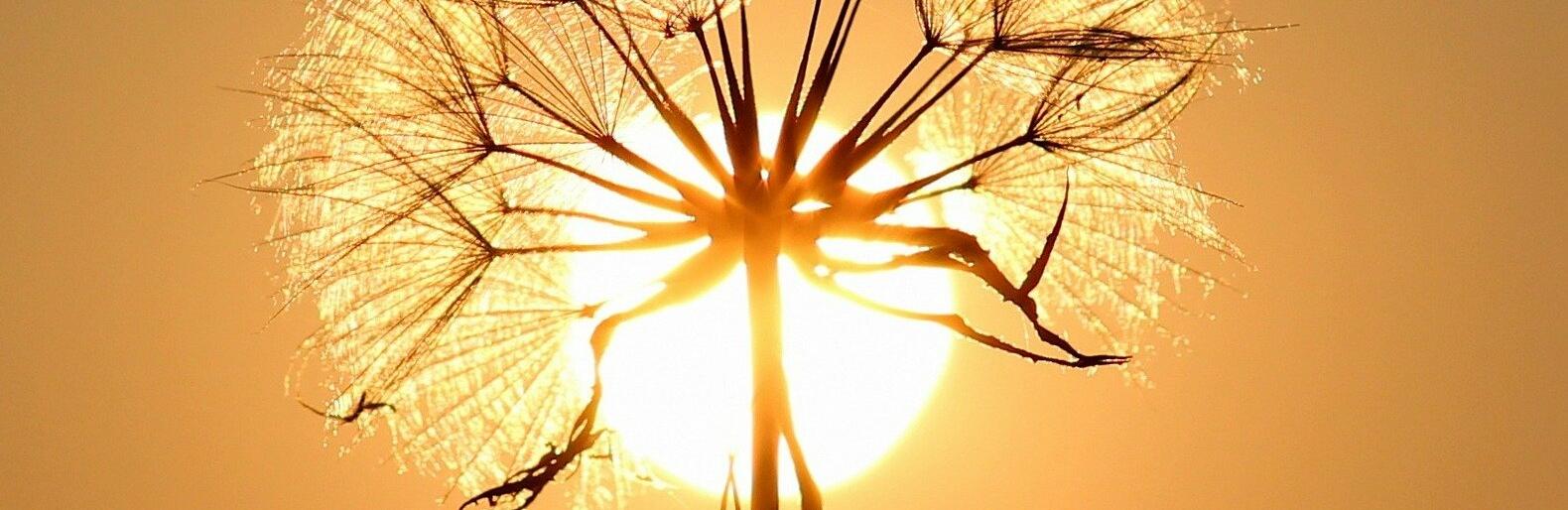  ���� �������� ��� ������ ���� ���� ������ ����� 