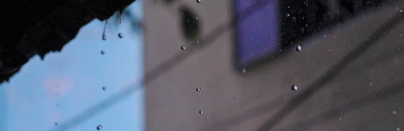  ���� ����� ����� ������� ������ ��� ������ 