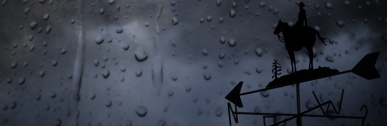  ���� ������ ������������ ����� ���� ������� ������ ��� 