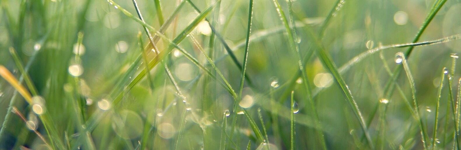  ������ ���� ������ ������ ������� ���� ���� ������ 