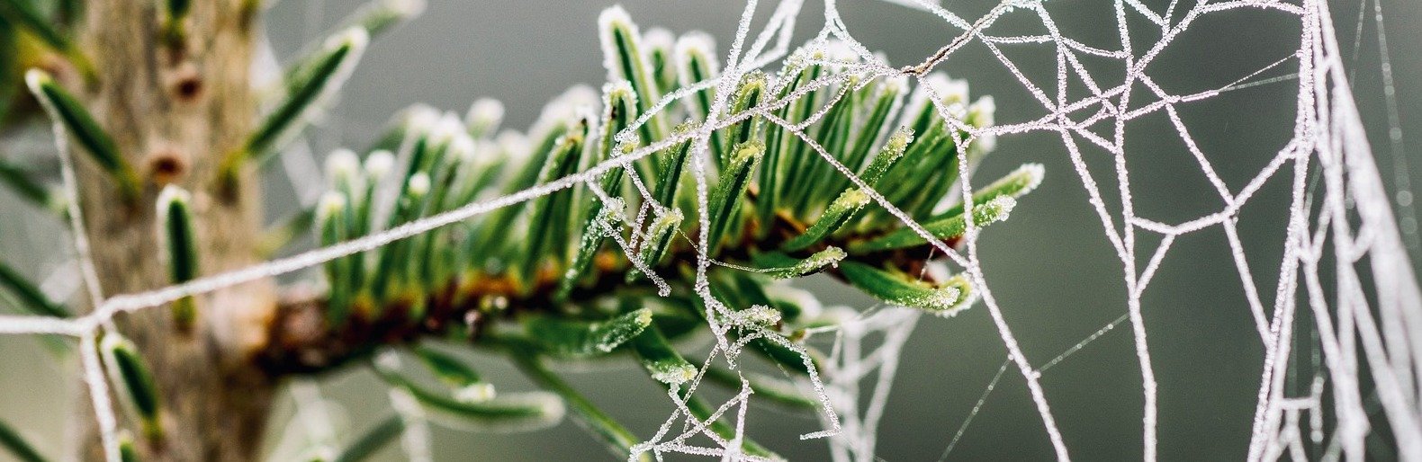  ����� ������� ������� ������ ��� ���� 