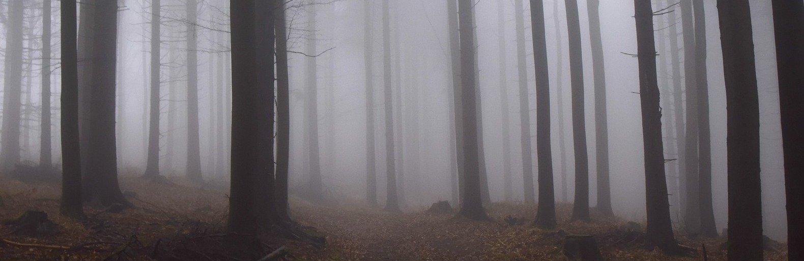  ���������� ������� ������� ��������������� ��������� ����� 