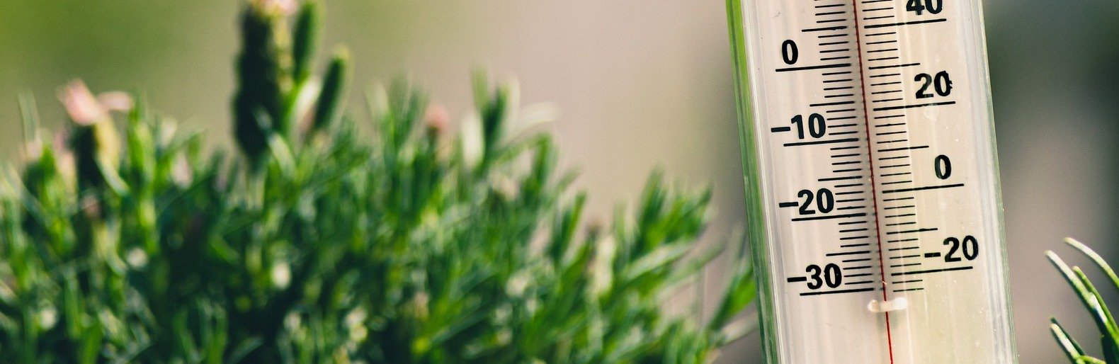  ����� ������� ����������� �������� ������������� ������ 