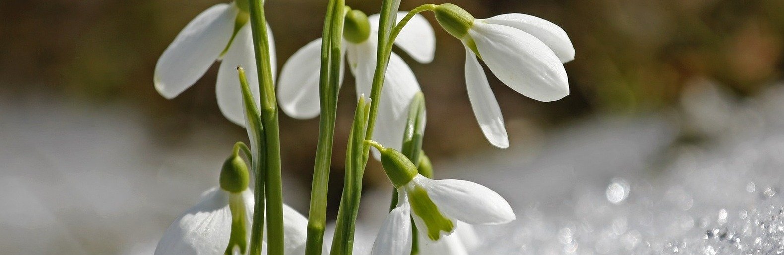  ���� ����� ������� ������ ��� ������ 