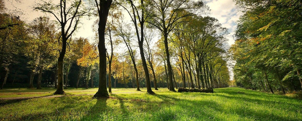  ������ ���� ���������� �������� ��������� ����� ������� ������ 