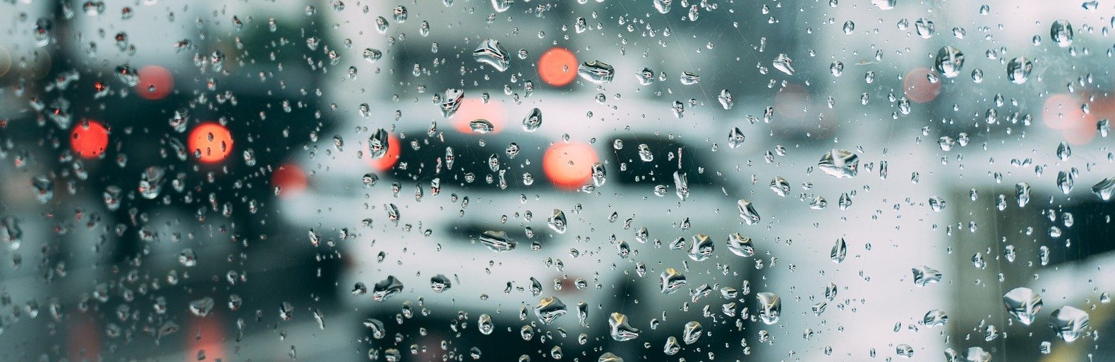  ������� ������ ����� ���� ���� ������ ���������� ������ 