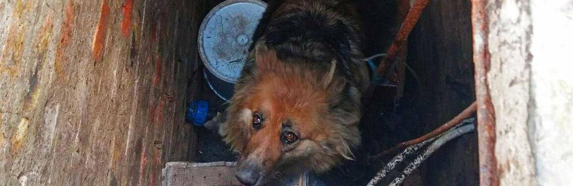  �� ����� ��������� ��� ���� ���� ������������� ��� 