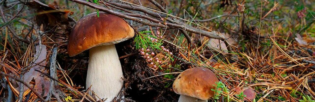  ������� ���� ������ ���������� ������� ����� ��������� 