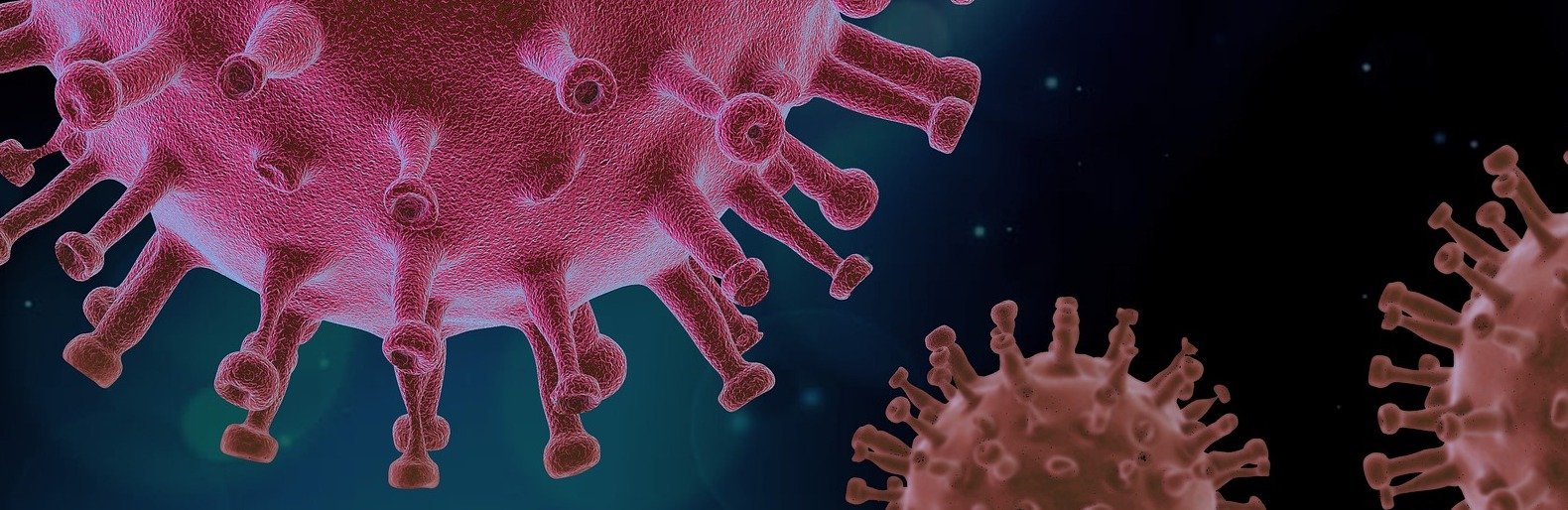  ��� ����� ���� ������ covid-19 ������ ������ 