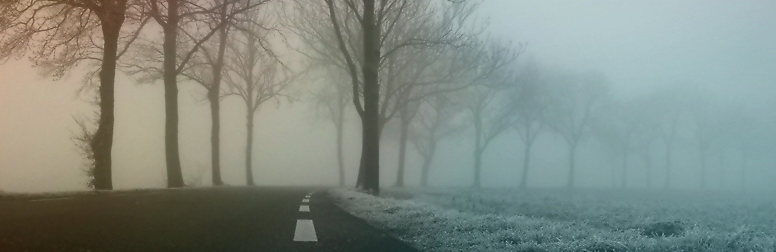  ��������� ����� ������� ������ ��� ������ 