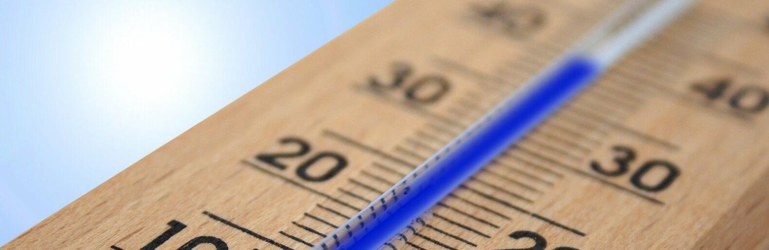  ���� ����� ��� ���� 2010 ���� �������� ����� 