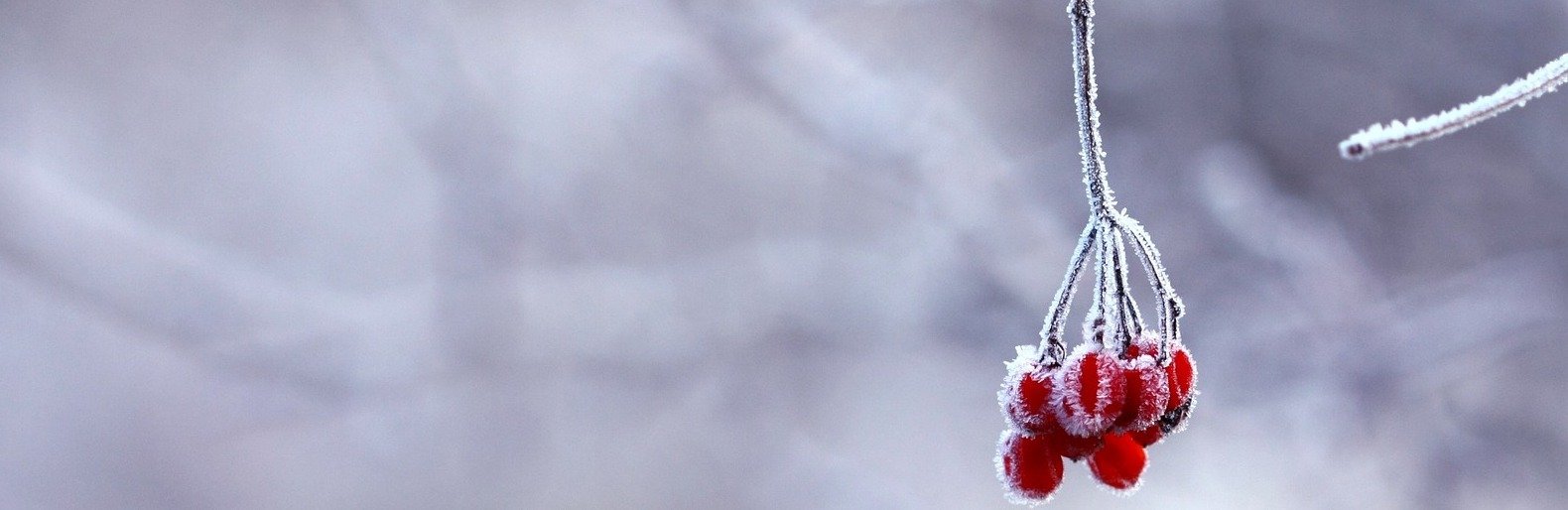  ������� �������� ����� ������� ������ ��� ������ 