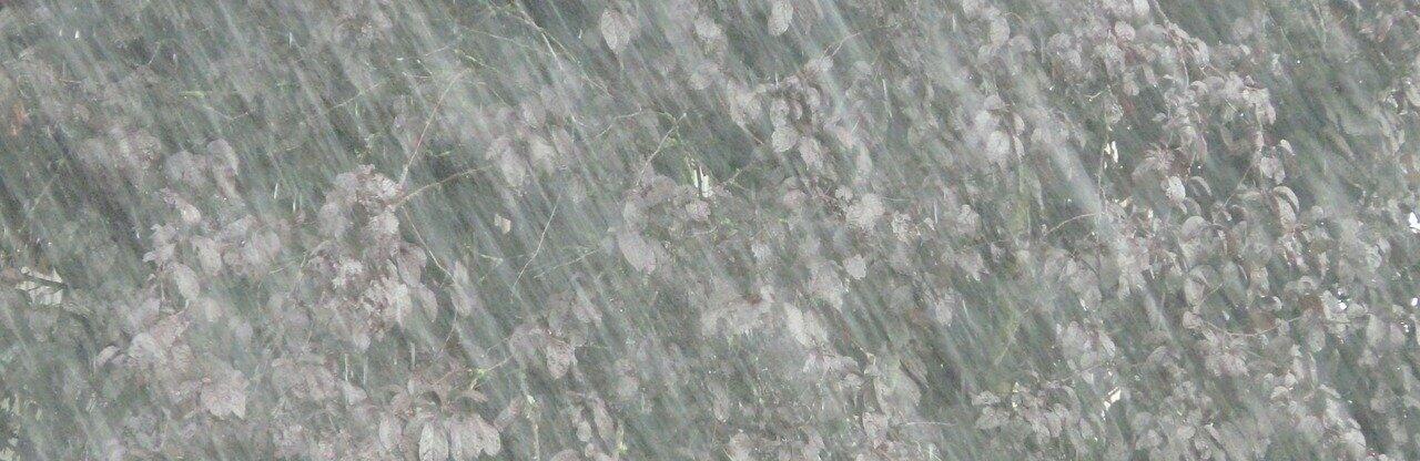  ���� ������ ����� ��� �������� ���� ������� ������� 