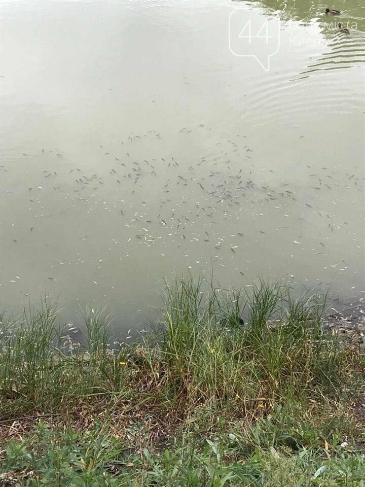  �������� ������ ������� ������ ���� ���� 