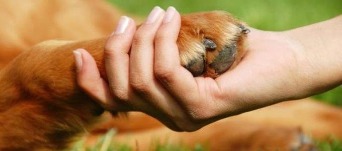  ������� �������� ������������� ��������� ������ �������� 