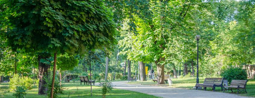  ������������ ���������� ������������� ����� 