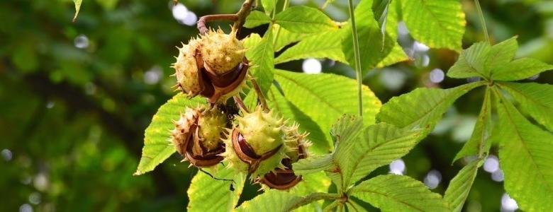  ������� ����� ������� ���������� ������ 