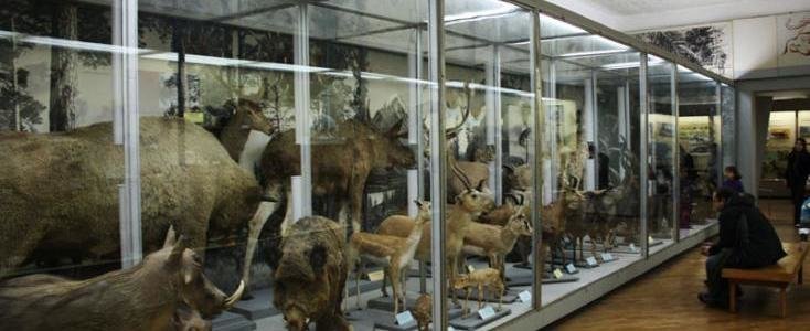  ����� ����� �������� ���������� ��������� ��� 