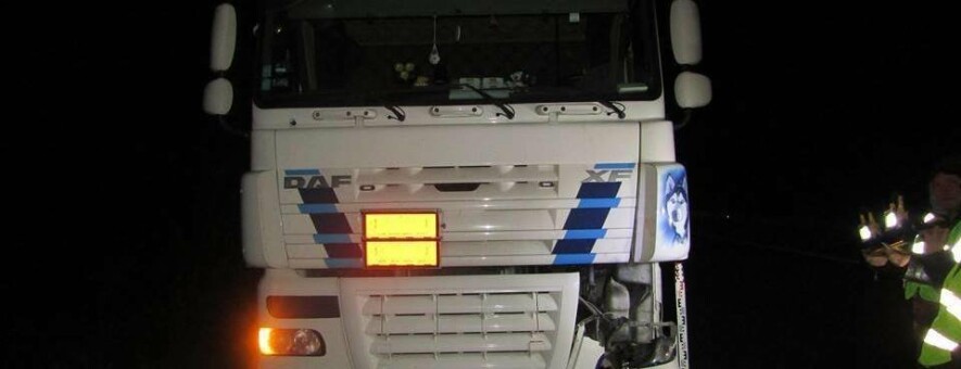  ������ ���� ����������� ������������ �������� ��������� ������� 