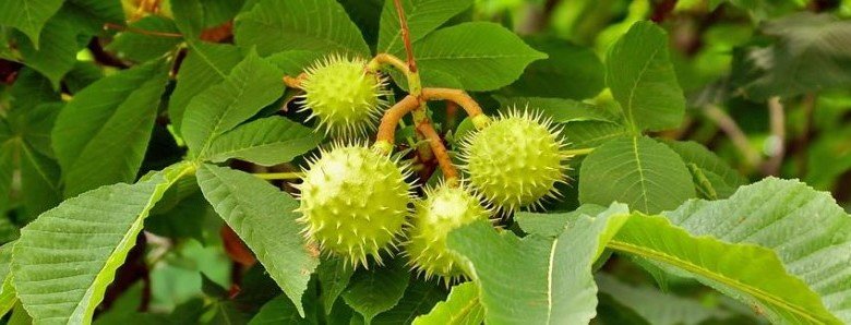  ������� ������� ������� ������� ��������� 