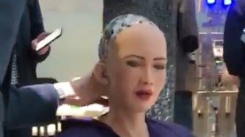  ����� ����� ������� ���� 